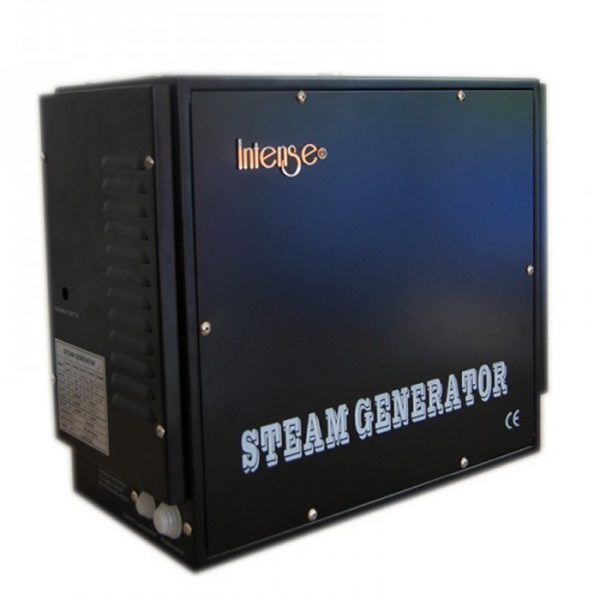 Generador de vapor intenso de 4KW a 12KW